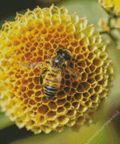 Honey Bee Hive Diamond Painting