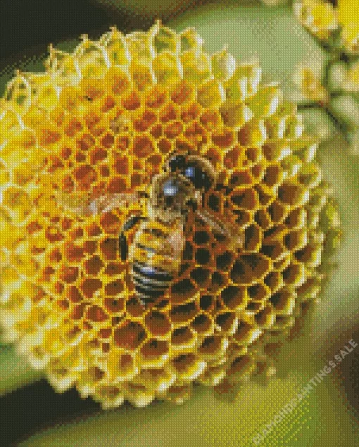 Honey Bee Hive Diamond Painting