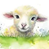 Little Fluffy Lamb Diamond Painting