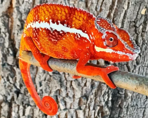 Panther Chameleon Diamond Painting