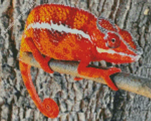 Panther Chameleon Diamond Painting
