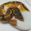 Pied Ball Python Diamond Painting