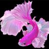 Pink Fish Diamond Painting