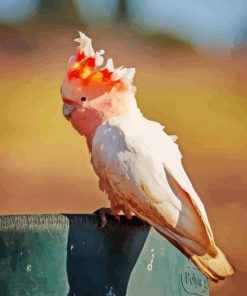 Pink Parrot Diamond Painting