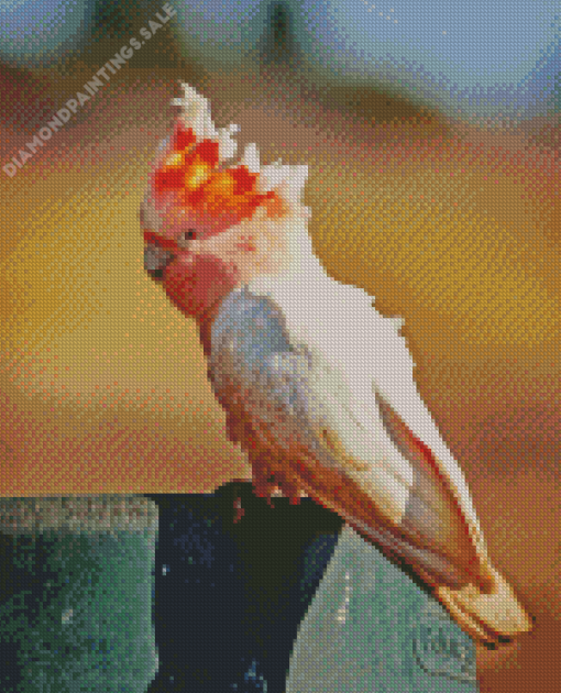 Pink Parrot Diamond Painting