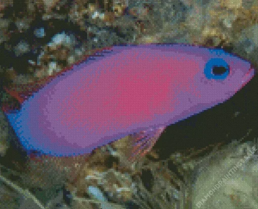 Purple Fish Diamond Painting