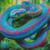Rainbow Snake Diamond Painting