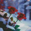 Roses In Snow Diamond Painting