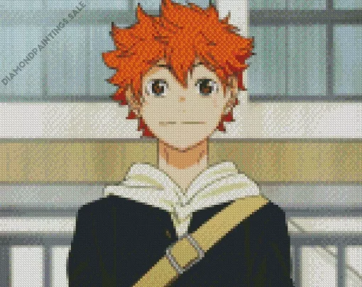 Shoyo Hinata Diamond Painting