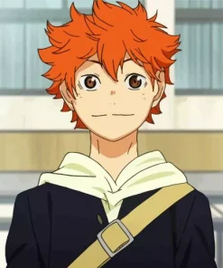 Shoyo Hinata Diamond Painting