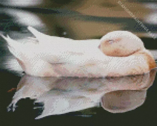 Sleeping Duck Diamond Painting