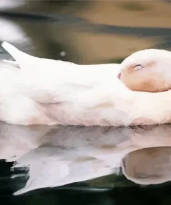 Sleeping Duck Diamond Painting