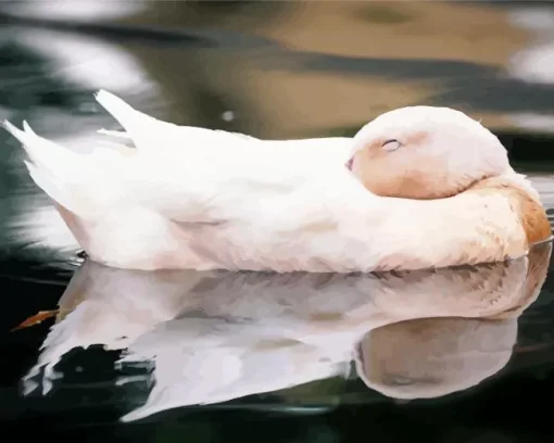 Sleeping Duck Diamond Painting