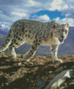 Snow Leopard Diamond Painting