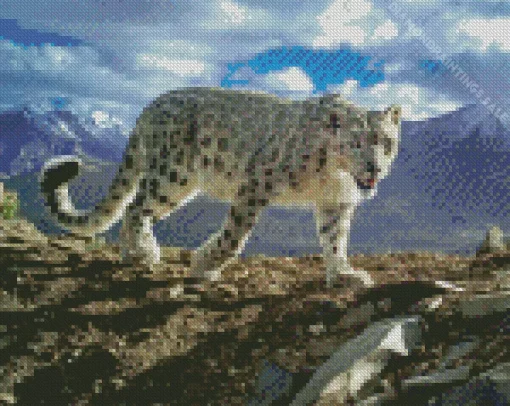 Snow Leopard Diamond Painting