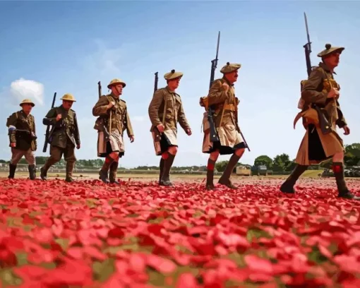Soldiers In Poppy Field Diamond Painting