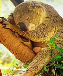 Tired Koala Diamond Painting