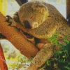 Tired Koala Diamond Painting
