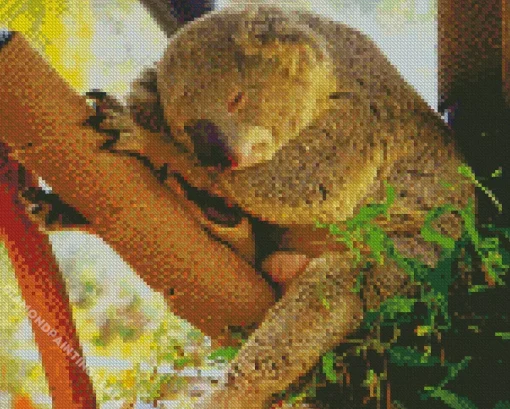 Tired Koala Diamond Painting