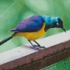 Yellow And Purple Bird Diamond Painting