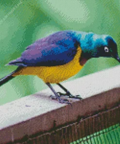 Yellow And Purple Bird Diamond Painting