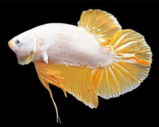 Yellow Betta Fish Diamond Painting