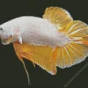 Yellow Betta Fish Diamond Painting
