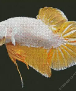 Yellow Betta Fish Diamond Painting