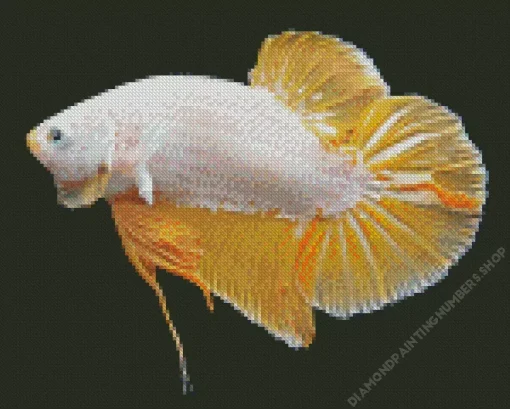 Yellow Betta Fish Diamond Painting