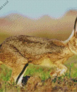 Black Tailed Jackrabbit Diamond Painting