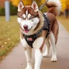 Brown Husky Diamond Painting