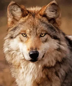 Brown Wolf Diamond Painting