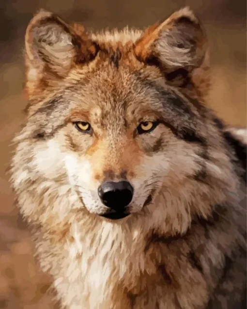 Brown Wolf Diamond Painting