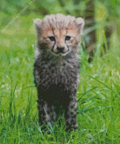 Cheetah Cub Diamond Painting