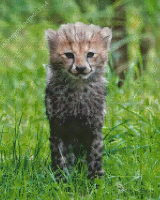 Cheetah Cub Diamond Painting