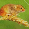 Eurasian Harvest Mouse Diamond Painting