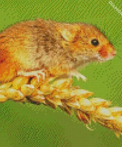 Eurasian Harvest Mouse Diamond Painting