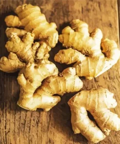 Ginger Plant Diamond Painting