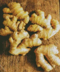Ginger Plant Diamond Painting