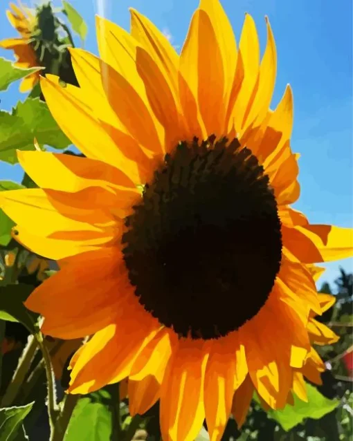 Helianthus Giganteus Diamond Painting