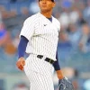 Jhony Brito Player Diamond Painting