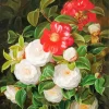 Red And White Camellias Bouquet Diamond Painting