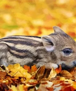 Sleepy Boar Baby Diamond Painting