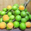 Spanish Lime Diamond Painting