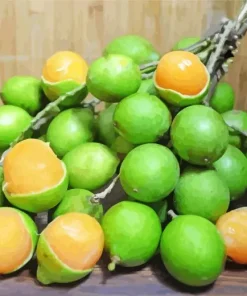 Spanish Lime Diamond Painting
