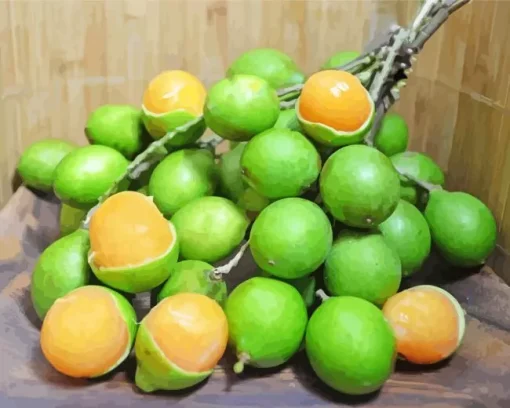 Spanish Lime Diamond Painting