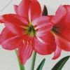 Amaryllis Flower Diamond Painting