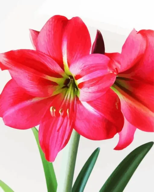 Amaryllis Flower Diamond Painting