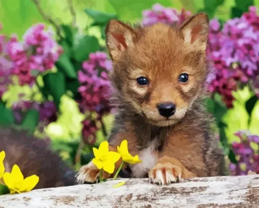 Baby Wolf Diamond Painting