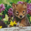 Baby Wolf Diamond Painting
